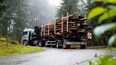 Ein silberner Holztransport-LKW mit beladenem Anhänger fährt auf einer regennassen Straße durch einen nebligen Wald.